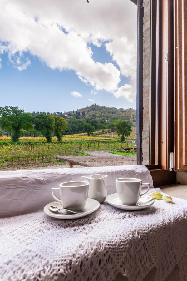 Wine Estate Rooms Paradiso Di Cacuci Montalcino Zewnętrze zdjęcie